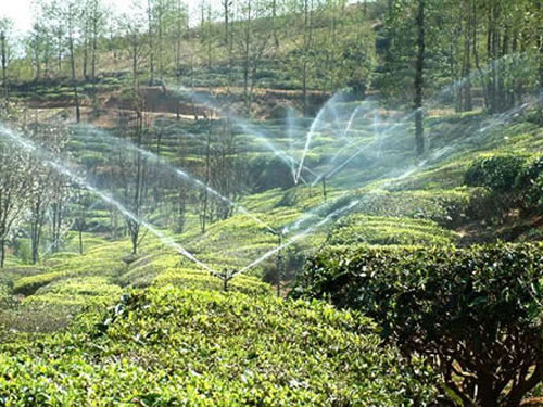 茶園噴灌案例